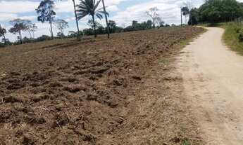 Imagem 3: Vendo excelente sítio no município de Jaguaripe o