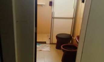 Imagem 3: Ariramba jurubeba mosqueiro