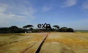 Imagem 4: Terreno na BR 376 proximo a Tijucas do Sul