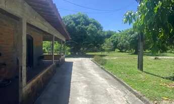 Imagem 4: Sitio em área urbana no Marcos Freire III