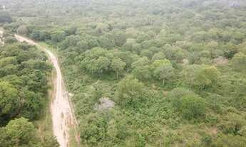 Imagem 5: Fazenda 15.416. Valor 61.664.000