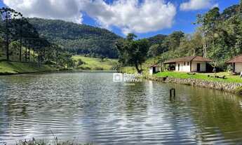 Imagem: Fazenda de 290 Hectares com Infraestrutura
