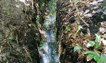 Imagem 7: CHACARA FORMADA. PORTEIRA FECHADA