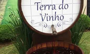 Imagem: Poucos terrenos, muita procura Rota do Vinho