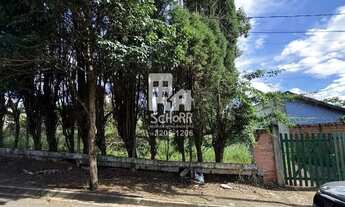 Imagem: Terreno de 1000m² à venda Bela Vista R$