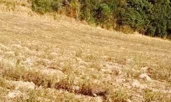 Imagem 7: Chegou a hora de trocar o barulho por paz: venha viver no campo!