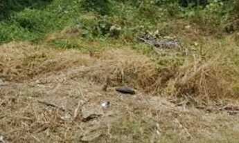 Imagem: Terreno Loteamento Gurupi