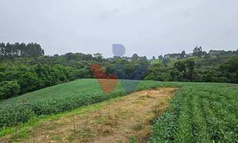 Imagem 3: Área de 79.000 m com 41.000 m mecanizados perfeita para cultivo ou projetos sustentáveis