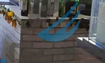 Imagem 3: Aluga-se ampla loja de 60m² em Posto de Combustível - Benfica/Caju