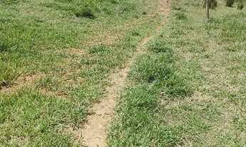 Imagem 7: Terreno próximo ao Caucaia do alto