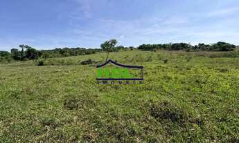 Imagem 3: Professor Jamil - Chácara 3,92 Hectares. Oportunidade