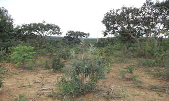 Imagem 3: 1000 metros na serra do cipó 37 mil Guilherme
