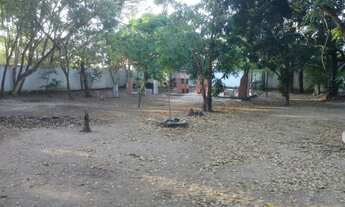 Imagem 4: Sítio na JK Chácara com venda por R$1.200.000