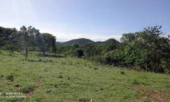 Imagem 4: Fazenda de 30 Alqueires - Colinas do Sul