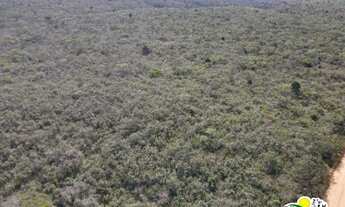 Imagem 5: Fazenda à Venda em Jeremoabo - Bahia 368 Hectares