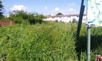 Imagem 2: Terrenos de pista para vender em Pau Amarelo - Paulista - PE