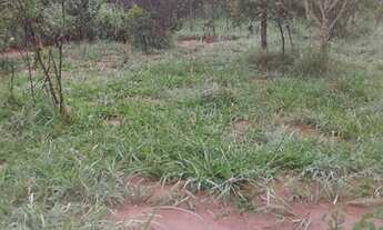 Imagem 7: Oportunidade Formar Seu Sitio Dos Sonhos!!! 11 Hectares 198.500