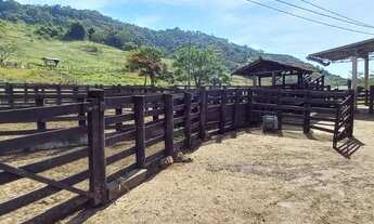 Imagem 6: Fazenda Histórica com 132 Alqueires na região de Botucatu-SP