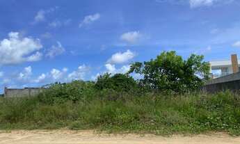 Imagem 5: Lote medindo 20x49, perfazendo 980m²