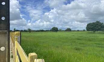 Imagem 3: Fazenda com 20,0 hectares, em Comum, distrito de Monte Alegre/RN