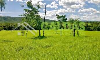 Imagem 5: Fazenda a venda com 36 alqueires e pecuária rotacionada na região de Formosa - GO