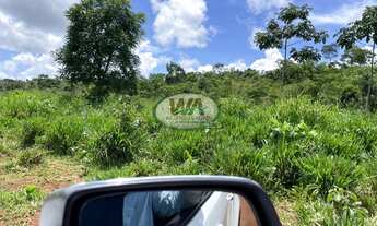 Imagem 2: Fazendinha a venda com excelente solo e preço atrativo