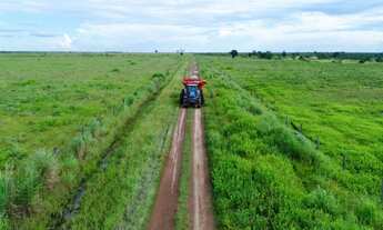 Imagem 2: Fazenda - Peixe (TO