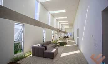 Imagem 5: PELOTAS - Padrão - São Gonçalo