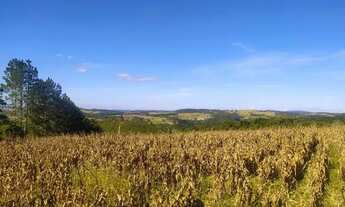Imagem 7: Terreno em Ibiúna Perto da represa!