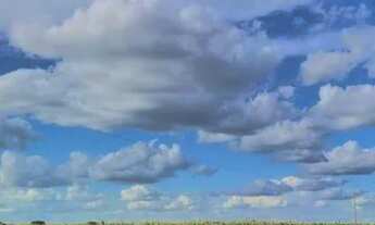 Imagem 3: Terras em Irecê - BA