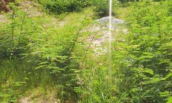 Imagem 5: Terreno á venda bairro Gutierrez/Belo Horizonte