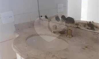 Imagem 6: Apartamento amplo e ensoralado com lazer de clube em Higienópolis