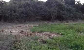 Imagem 3: Sitio em Nova Iguaçu