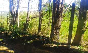 Imagem 3: Terreno rural com ótima localização