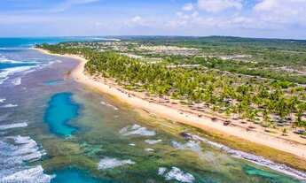 Imagem 2: Oportunidade única: Lote de 800 m2, frente ao mar, Praia do Forte BA