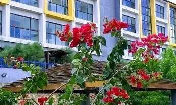 Imagem: São João Bananeiras PB