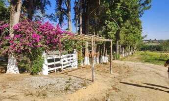 Imagem 7: Sítio com 3 dormitórios à venda, 44000 m² por R$ 680.000,00 - Caetezal de Cima - Piedade/S