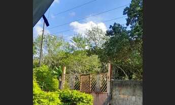 Imagem 5: Chácara com Escritura no Novo Gama