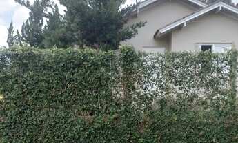 Imagem 3: Casa 3 dormitórios Estancia Velha / Lago Azul