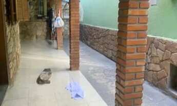 Imagem 5: Casa com 3 dormitórios à venda em Belo Horizonte