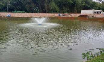 Imagem 3: Vendo terreno no km2