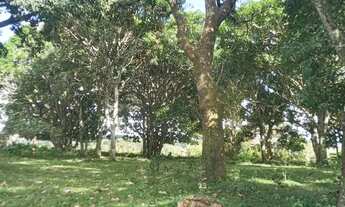 Imagem 2: Sitio em São Lourenço da mata