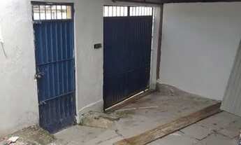 Imagem 5: Cajueiro térreo