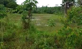 Imagem 4: 100 hectares com igarapé a margem da rodovia próximo a Belém