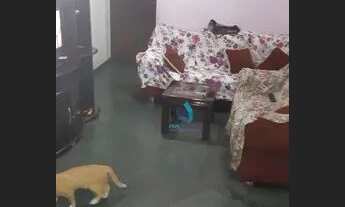 Imagem 7: APTO A VENDA NO CAMPO BELO - 2 DORMITÓRIOS - 68m²