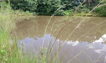 Imagem 7: LINDA CHACARA COM 5,3 HECTARES SENTIDO ROCHEDINHO EM CAMPO GRANDE MS 5462QM