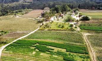 Imagem: Lote/Terreno para venda possui 1000 metros