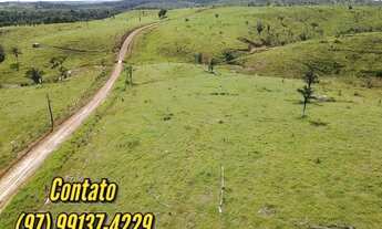 Imagem 5: EXCELENTE PROPRIEDADE