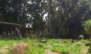 Imagem 6: Chácara com 2 dormitórios à venda, 3 m²- Jardim Camargo (Canguera) - São Roque/SP