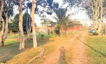 Imagem 4: Vendo Chácara / Bairro Alto Alegre